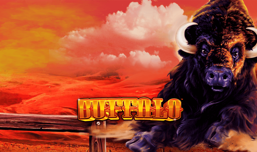 buffalo slot free play