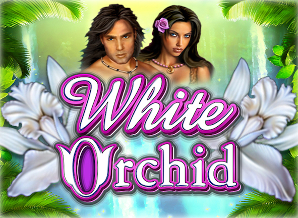 white orchid slot game